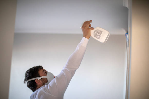 Best Mold Cleaning Services  in Upper Greenwood Lake, NJ
