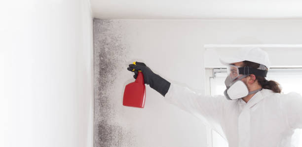 Best Residential Mold Removal  in Upper Greenwood Lake, NJ