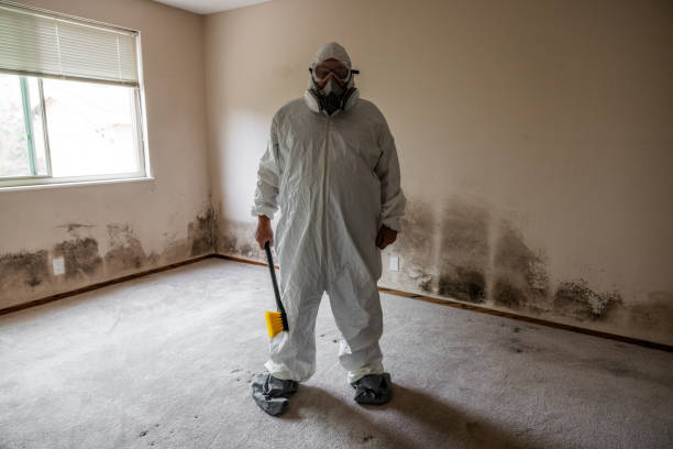 Best Commercial Mold Removal  in Upper Greenwood Lake, NJ